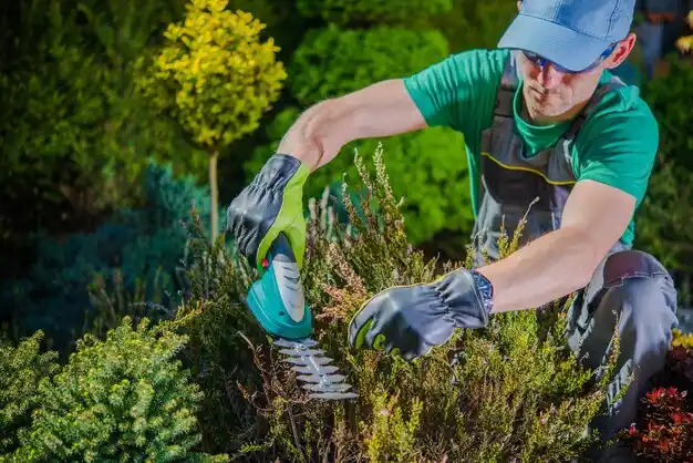 landscaping services Yellow Springs